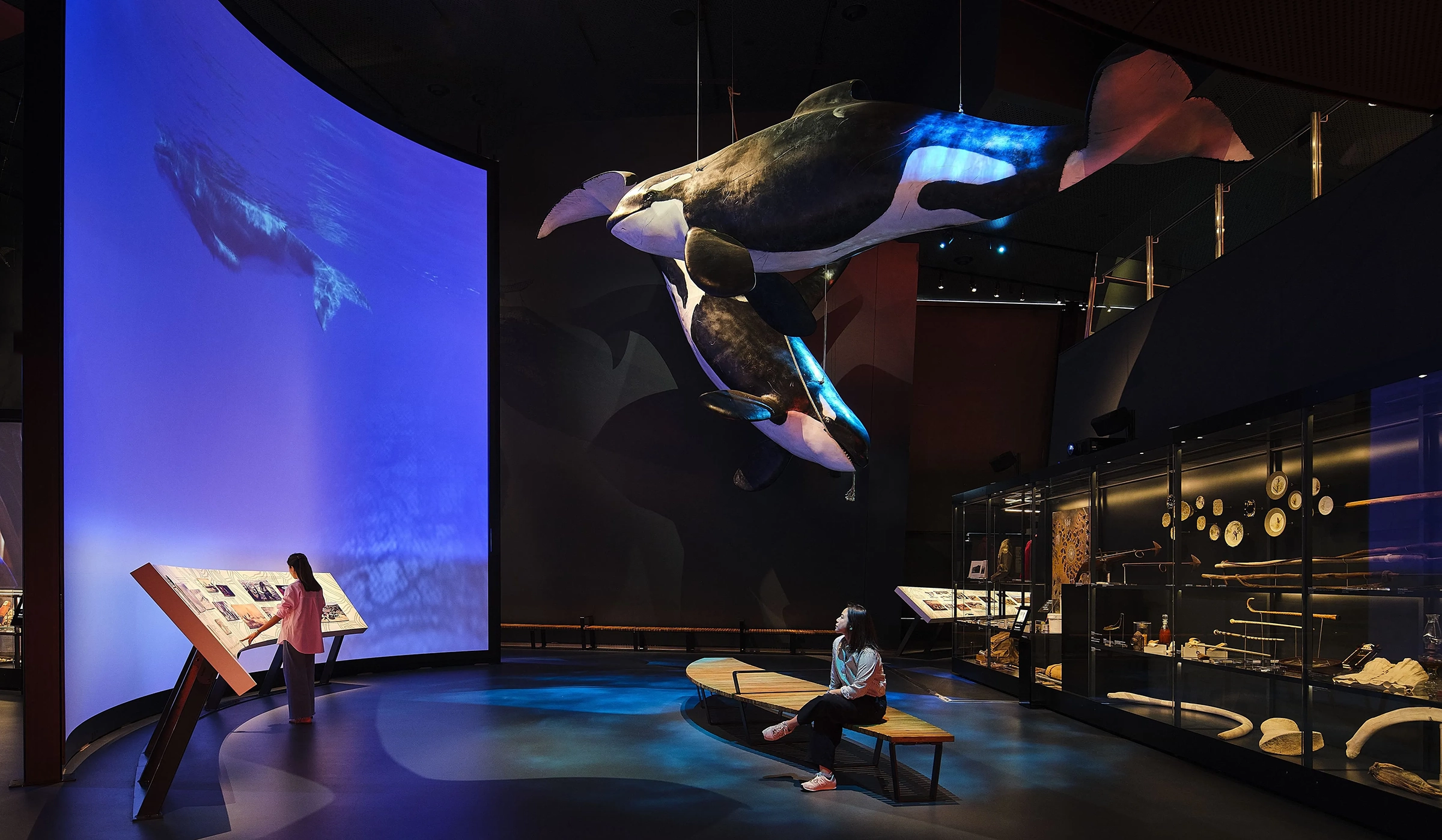 Immersive whale projection in Great Southern Land